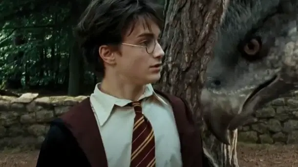 Harry Potter e Bicuço